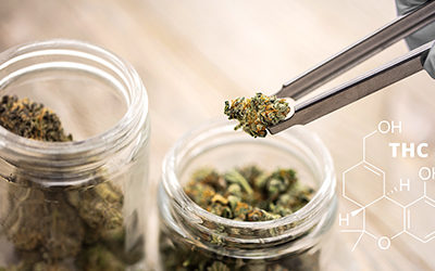 Medi­zi­ni­sches Can­na­bis in Apo­the­ken: Wenig Nut­zen bei viel Aufwand?